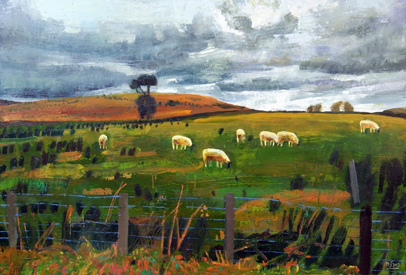 Northern sheep